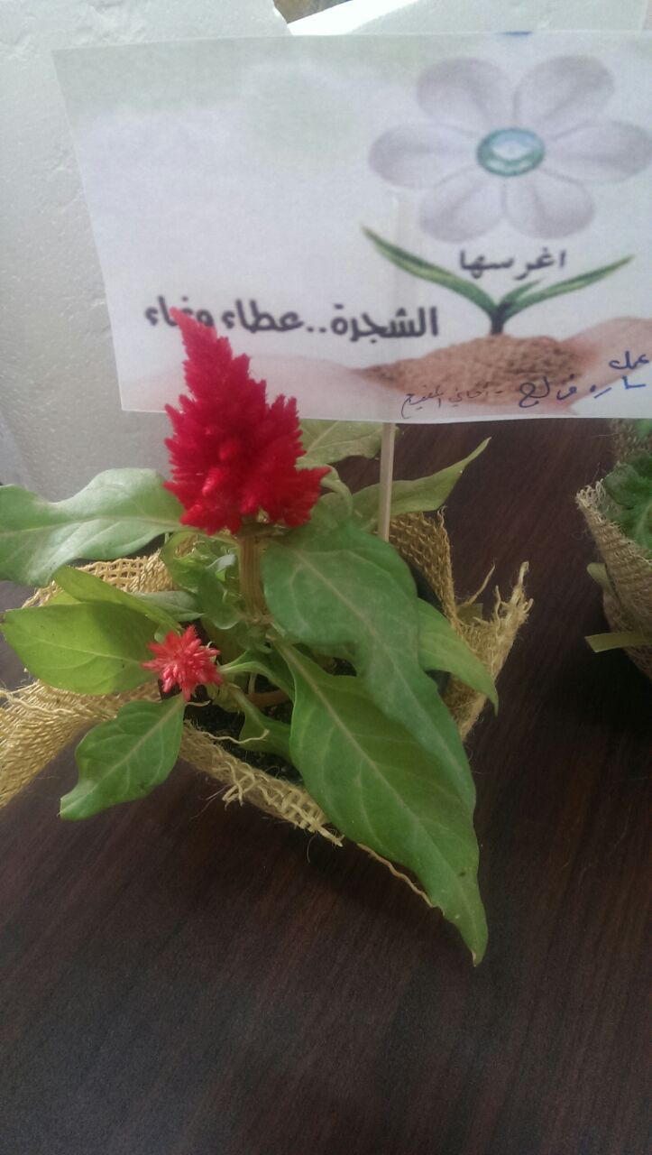 الشجرة .2.jpg