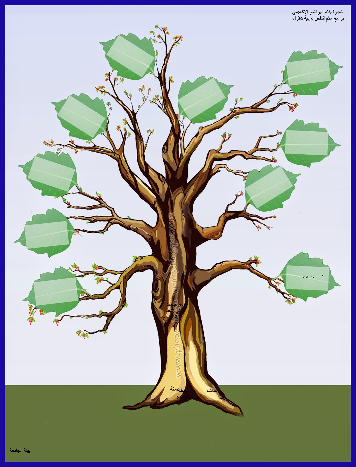 شجرة البرنامج.jpg