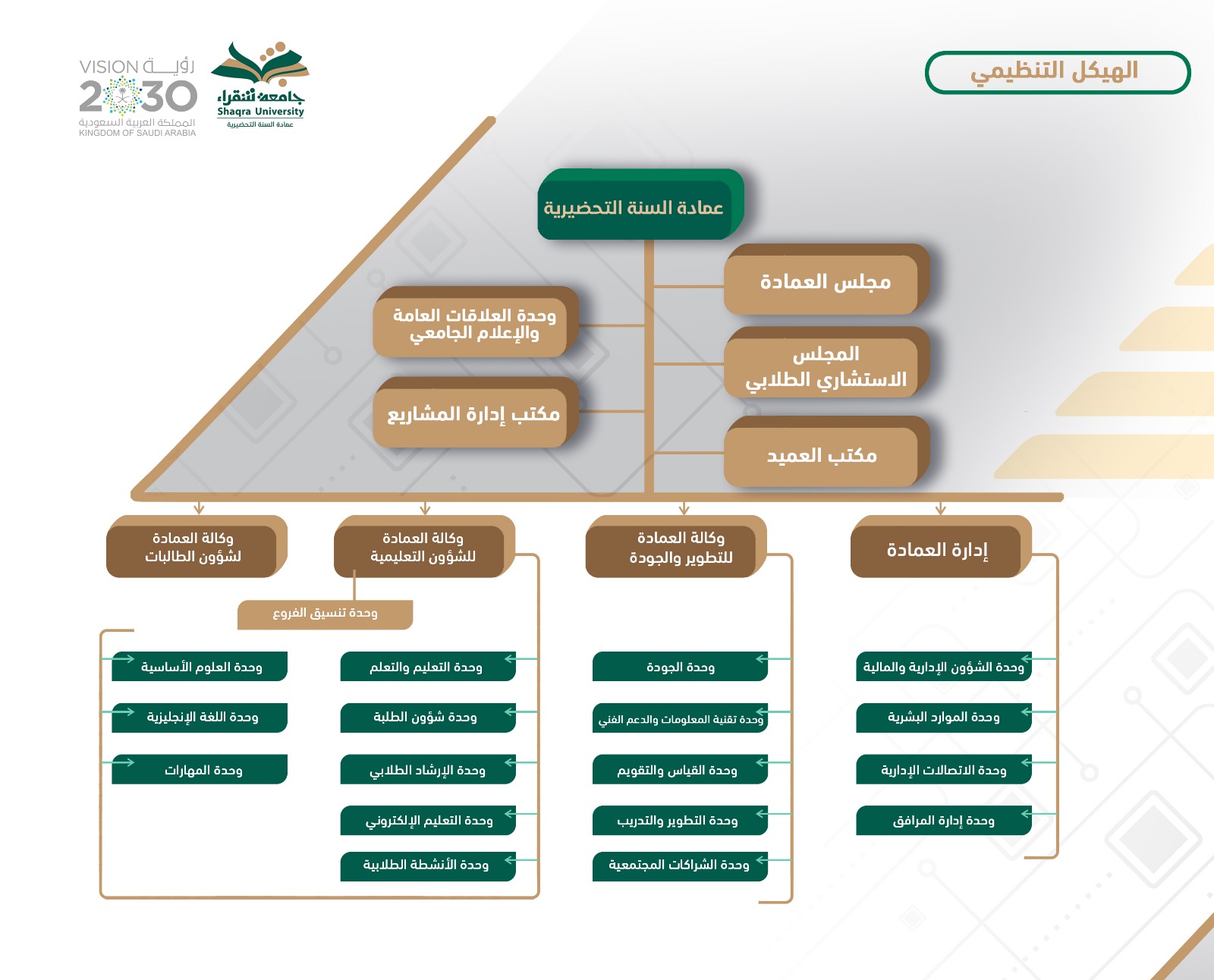 الهيكل التنظيمي للسنة التحضيرية عربي