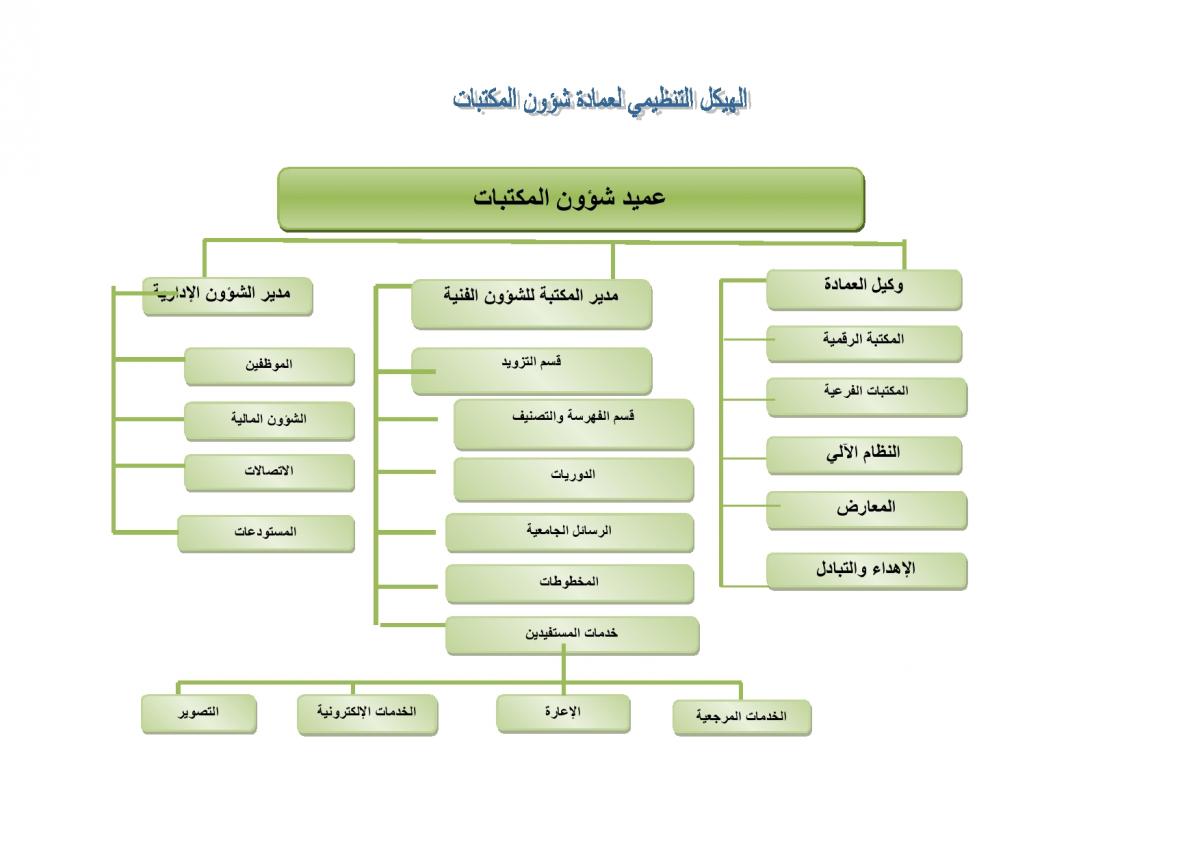 الهيكل التنظيمي