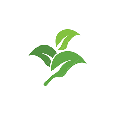 احتياجات المرأة التنموية