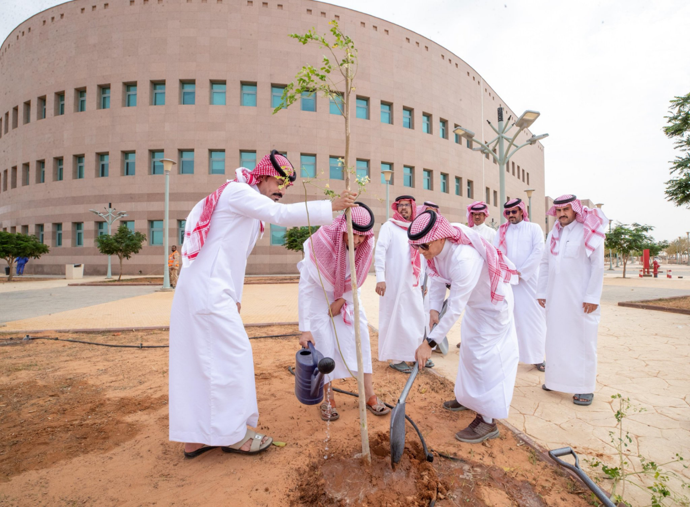 Campus Afforestation Campaign During Environment Week