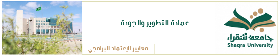 معايير الإعتماد البرامجي