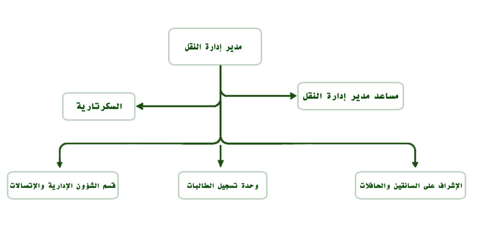 الهيكل التنظيمي 