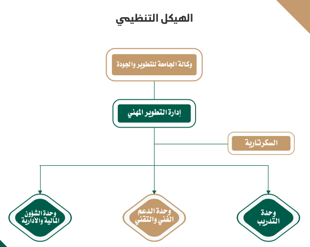 الهيكل التنظيمي