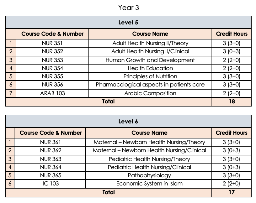 study plan 3