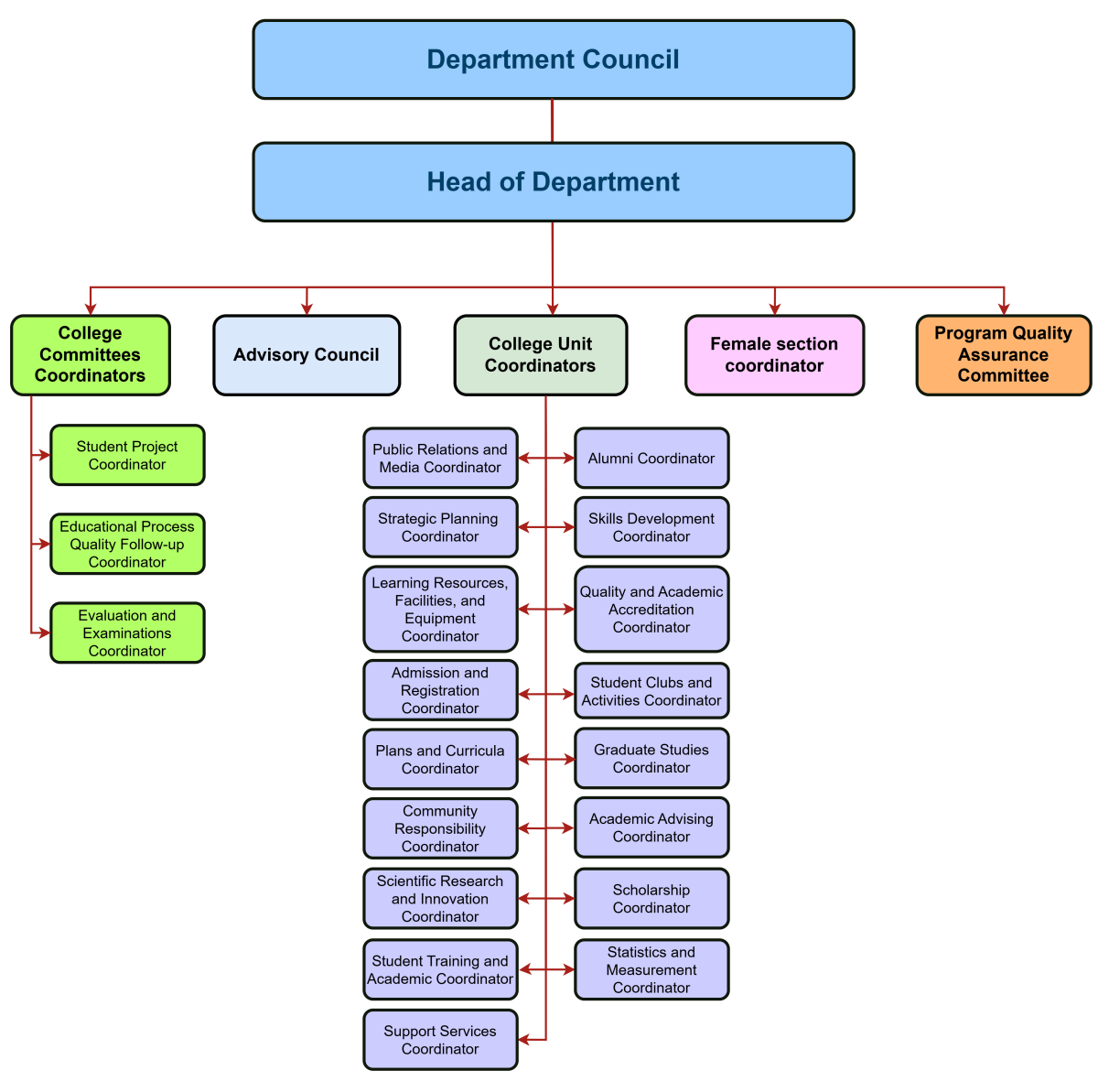 BCNE Organizational Chart