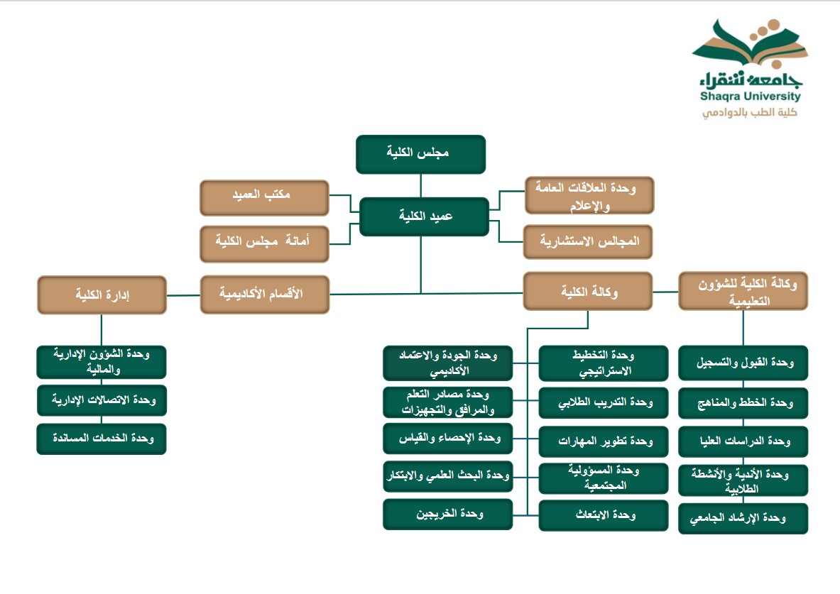 Organisational Chart Dawadmi College of medicine