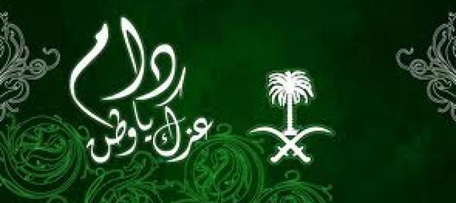 أهداف اليوم الوطني .. دكتور علي محمد سند