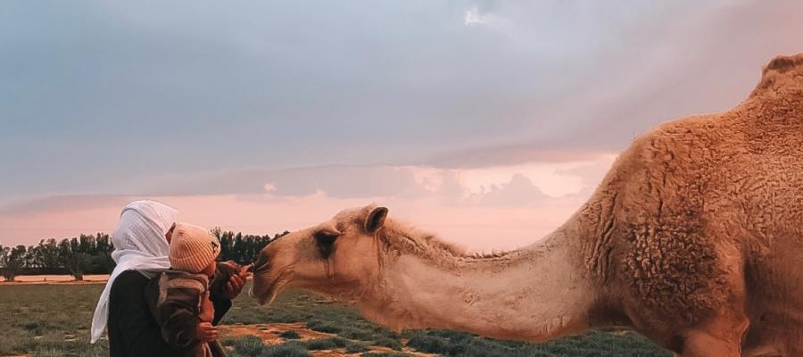الصورة الفائزة بجائزة التصوير الفوتوغرافي - المركز الاول الصورة الفائزة بجائزة التصوير الفوتوغرافي - المركز الاول