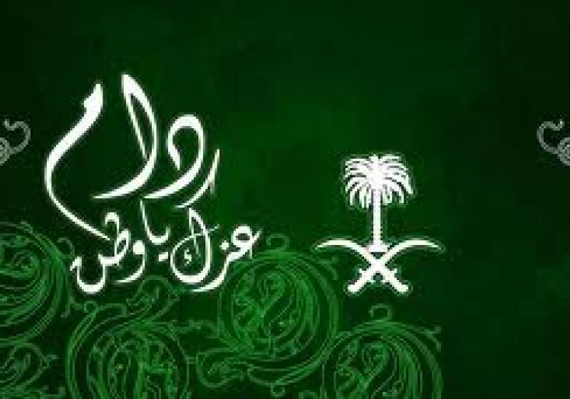 أهداف اليوم الوطني .. دكتور علي محمد سند