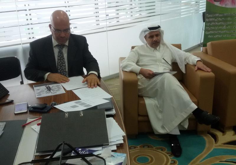 ورشة عمل بناء البرامج الأكاديمية ومكوناتها وآليات تطويرها للدكتور محمد عبد الجواد