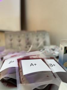 How to draw blood for medical tests