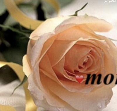 malsaleem@su.edu.sa