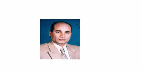 Prof Dr Alaa Akl